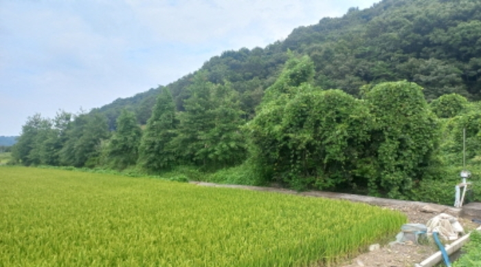 목록 4