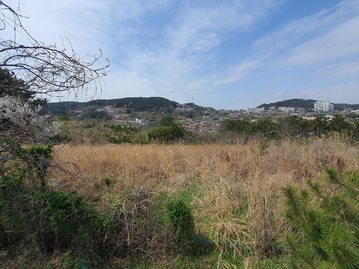 4.본건근경