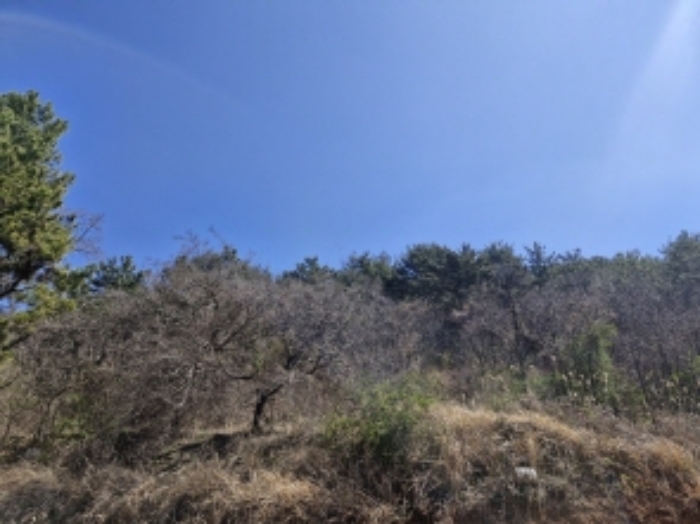 본건 2