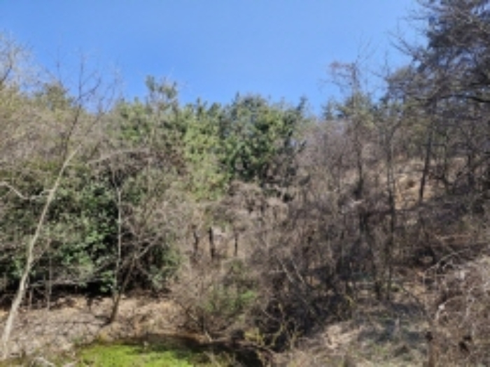 본건 5