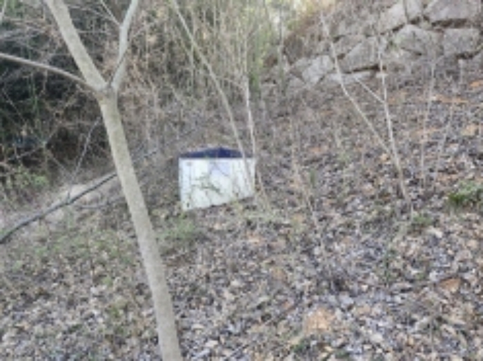 본건 19