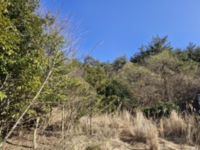본건 20