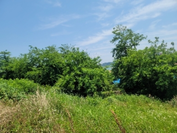 목록 1, 2