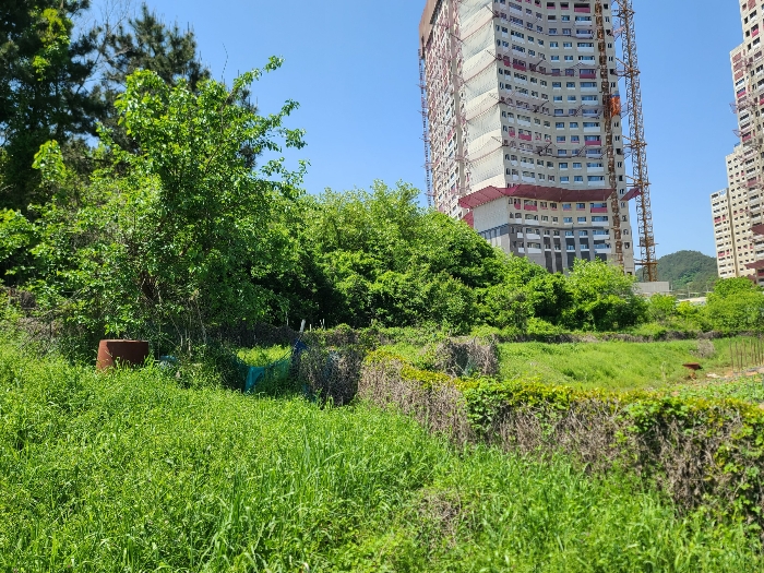 기호(2)