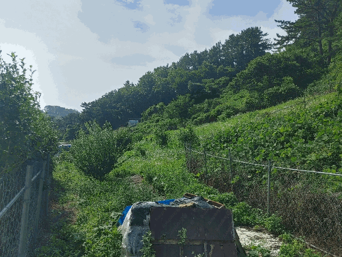 2024타경26454[1]