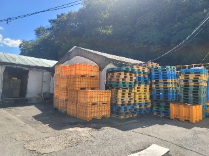 2024타경27839