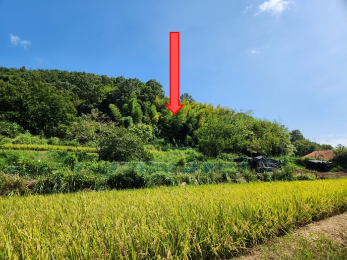 본건 토지