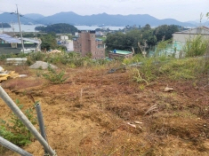 2024타경29064