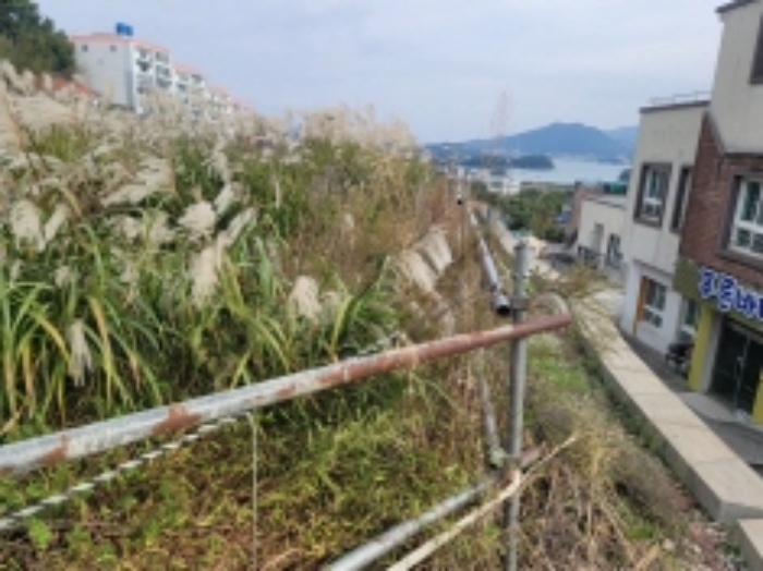 2024타경29064