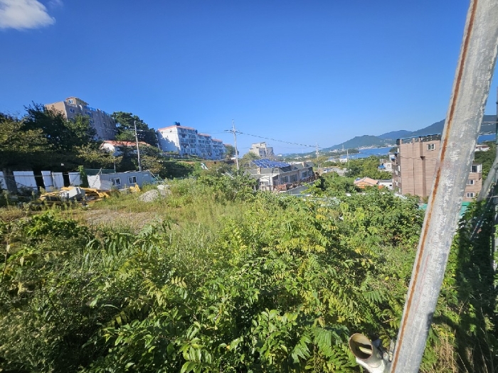 2024타경29064
