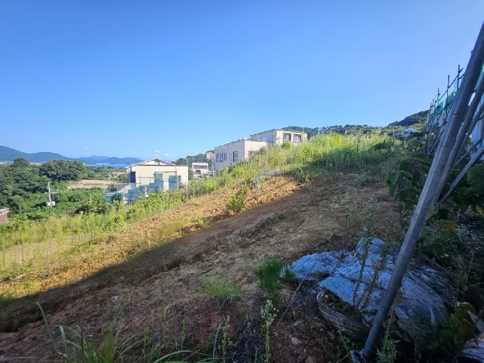 2024타경29064