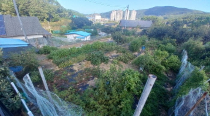 2024타경29293[2]