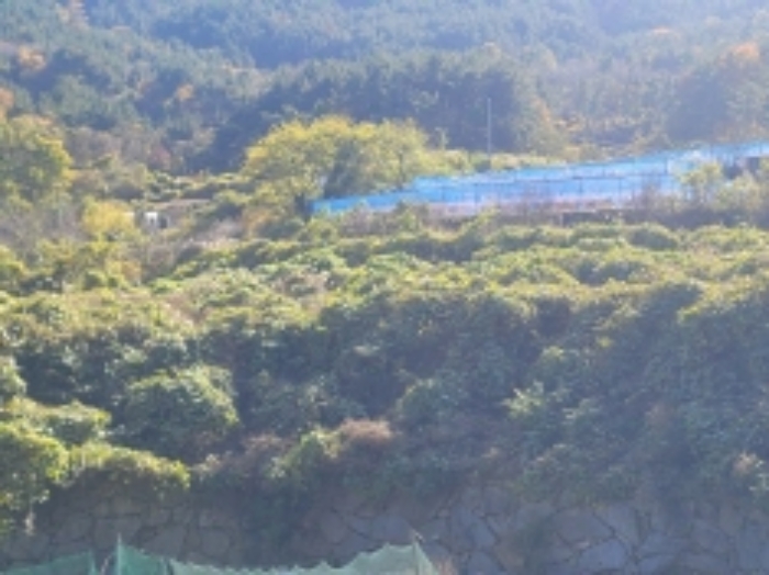 2024타경29866[6]