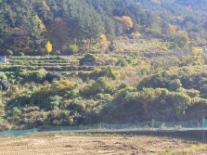 2024타경29866[6]