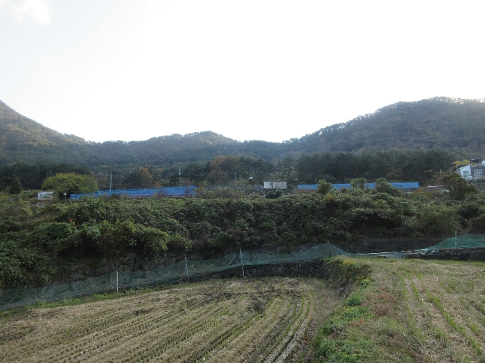 2024타경29866[6]