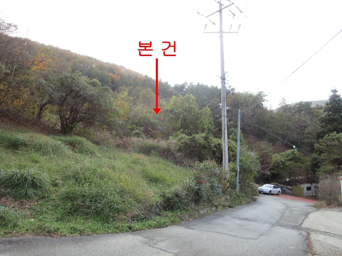 2024타경29866[6]