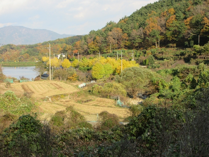 2024타경29866[6]