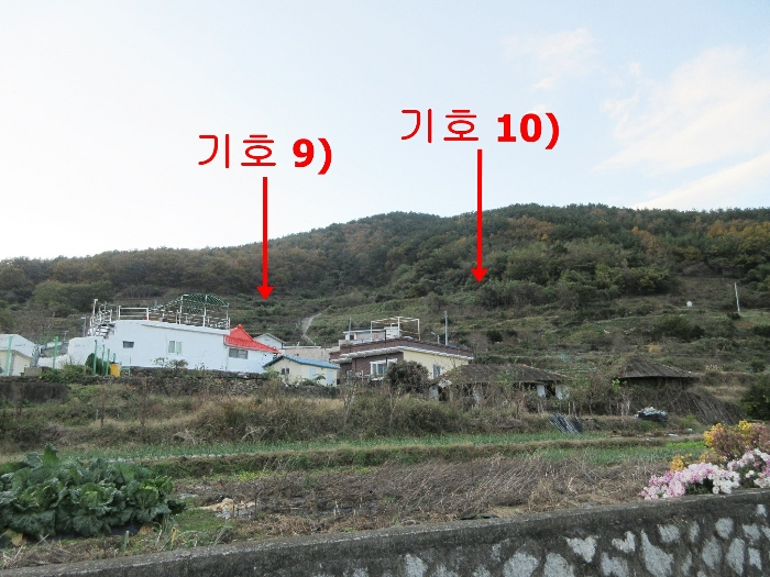 2024타경29866[6]