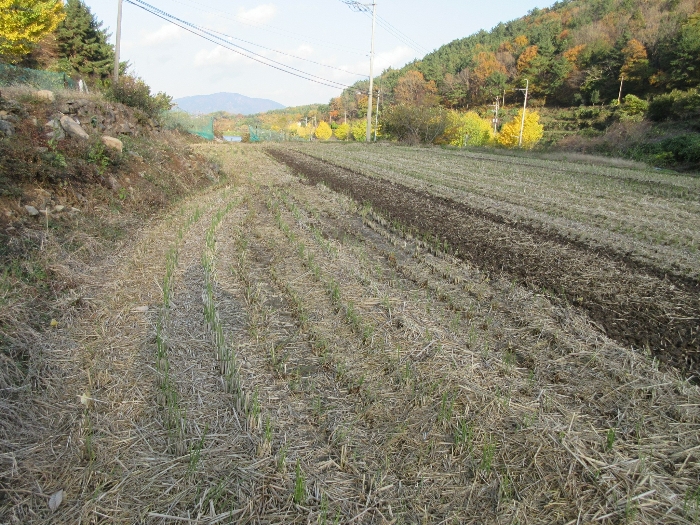 2024타경29866[6]