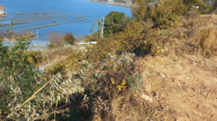 목록 2
