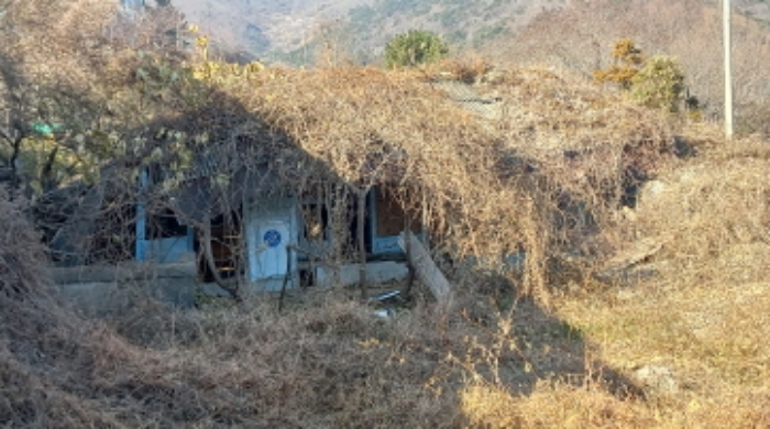 2024타경32633