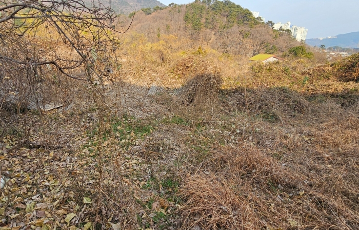 2024타경32633