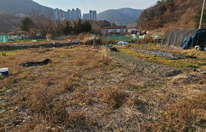 2024타경32633