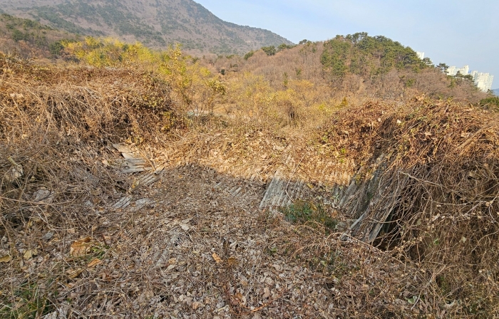 2024타경32633