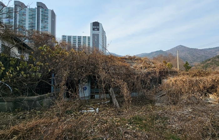 2024타경32633