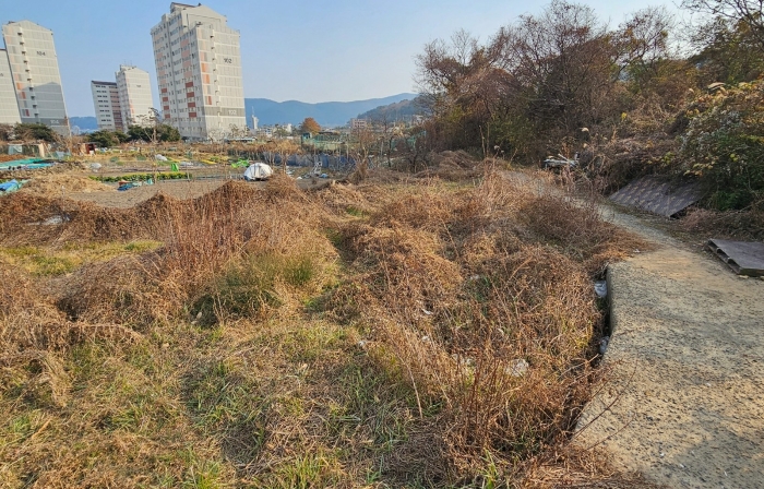 2024타경32633
