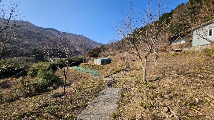 2024타경32817