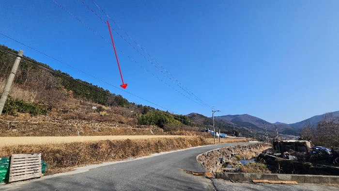 2024타경32817