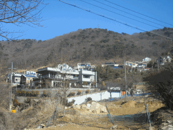 본건 및 인근 전경