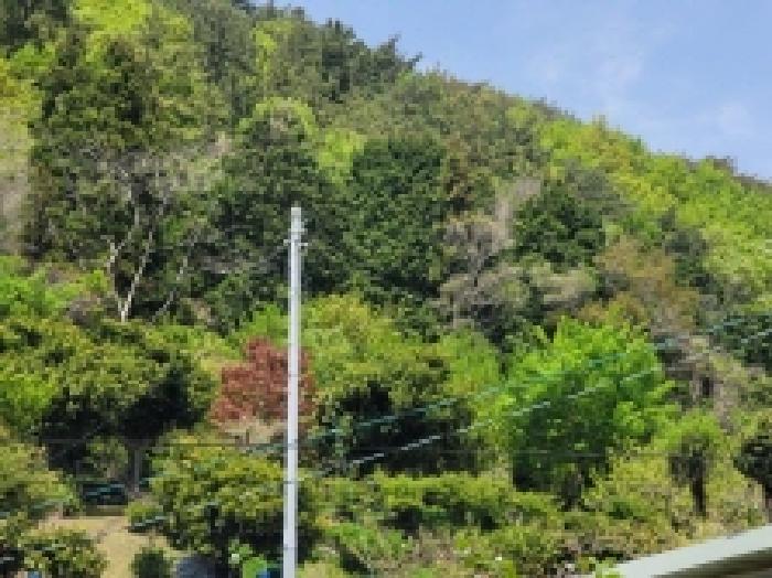 2025타경367[1]