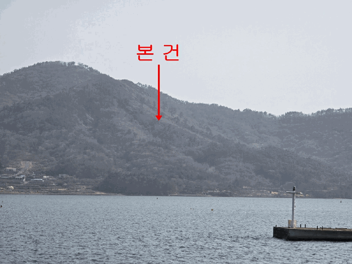 2025타경401
