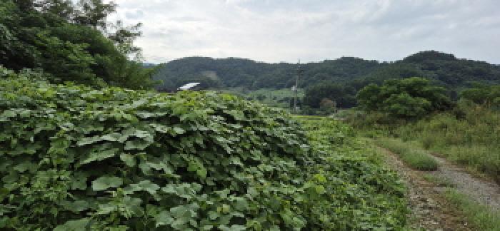 목록 4