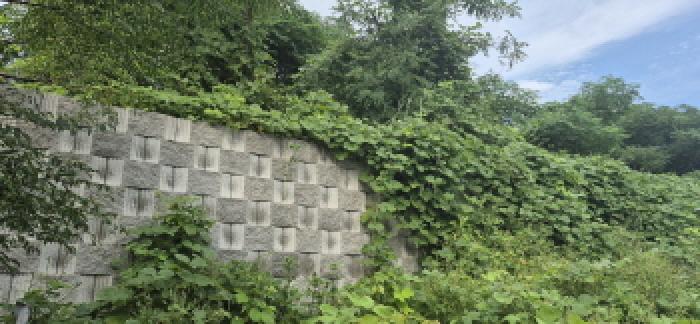 목록 5