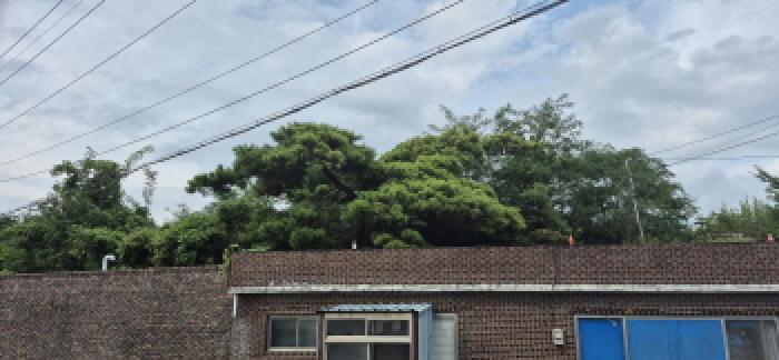 목록 6