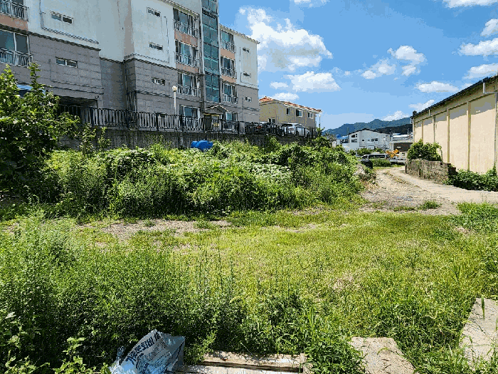 2025타경594
