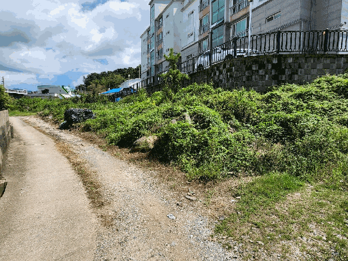 2025타경594