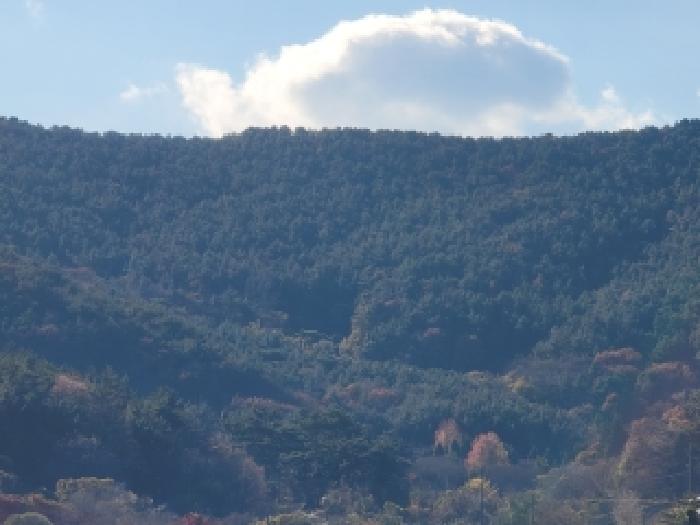 목록 1