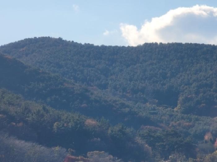 목록 1