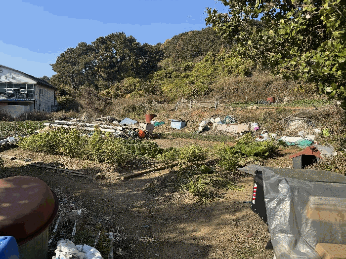 기호(3)-남동측에서 바라 본 전경
