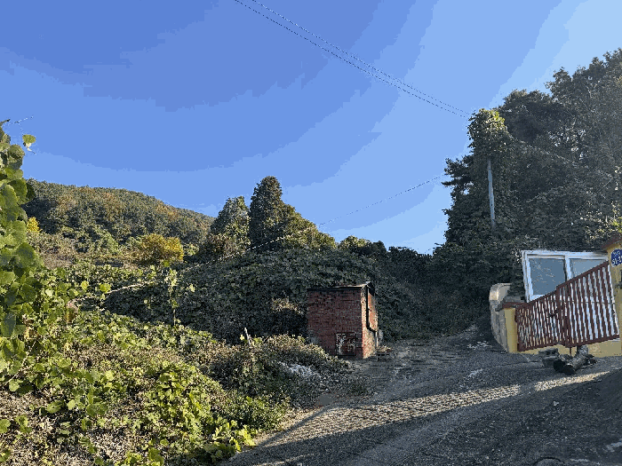 기호(4)-북서측에서 바라 본 전경