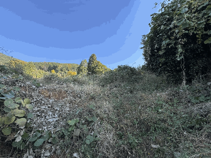 기호(4)-북서측에서 바라 본 전경