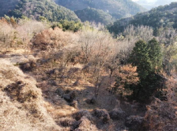 목록 3,4