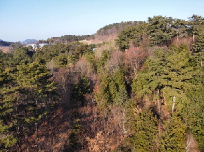 목록 8