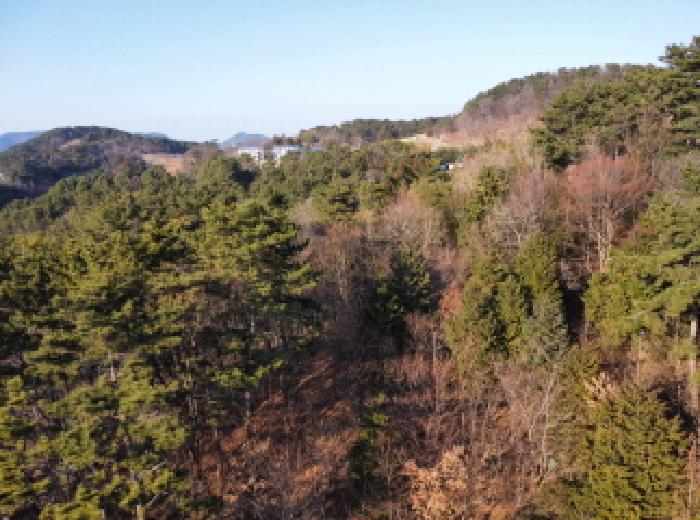 목록 8