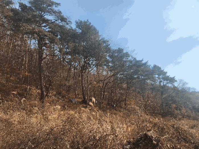 일련번호 7,8