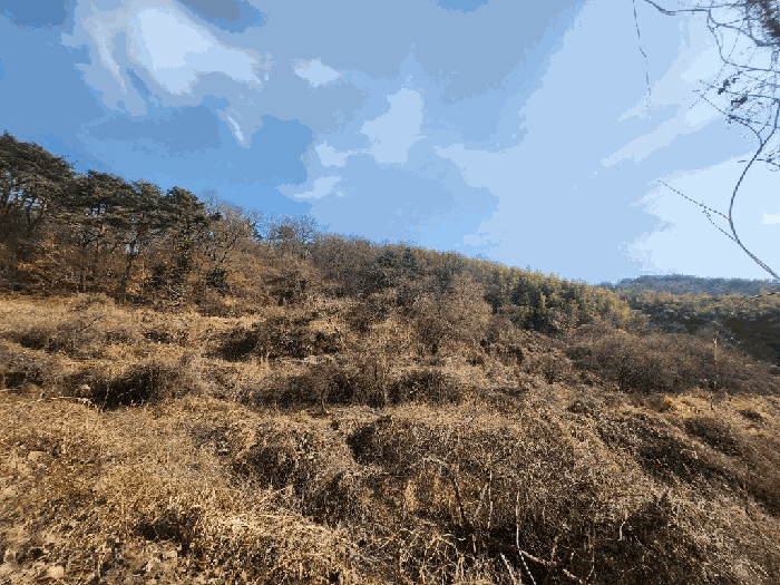 본건 전경